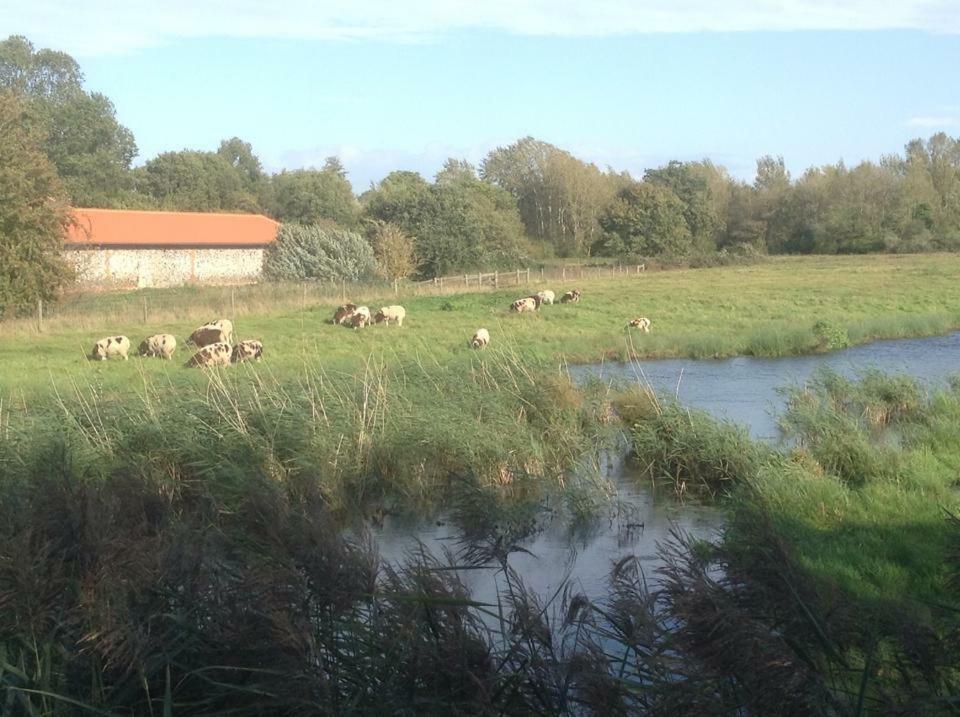 Flempton Lackford Lakes Barns المظهر الخارجي الصورة